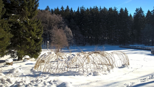 runder Weidentunnel, schneckenförmig auf einer Wiese am Waldrand im Schnee