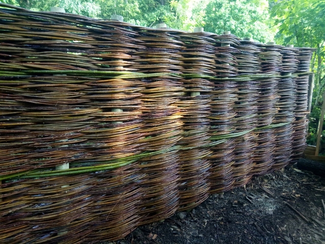 Dünne Weidenruten waagerecht um Holzpfosten zu einem Flechtzaun verarbeitet, sehr dicht geflochten